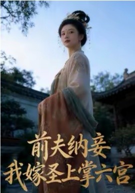 前夫納妾，我嫁圣上掌六宮