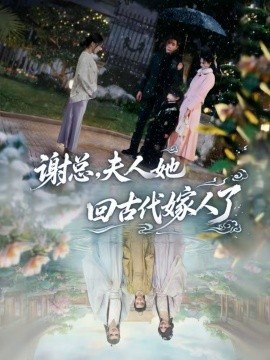 謝總，夫人她回古代嫁人了