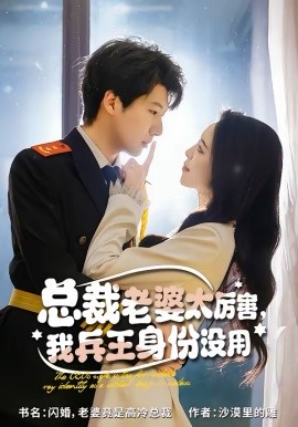 總裁老婆太厲害，我兵王身份沒用
