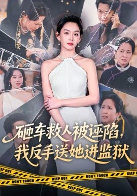 砸車救人被誣陷，我反手送她進(jìn)監(jiān)獄