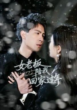 女老板陪我回家過(guò)年
